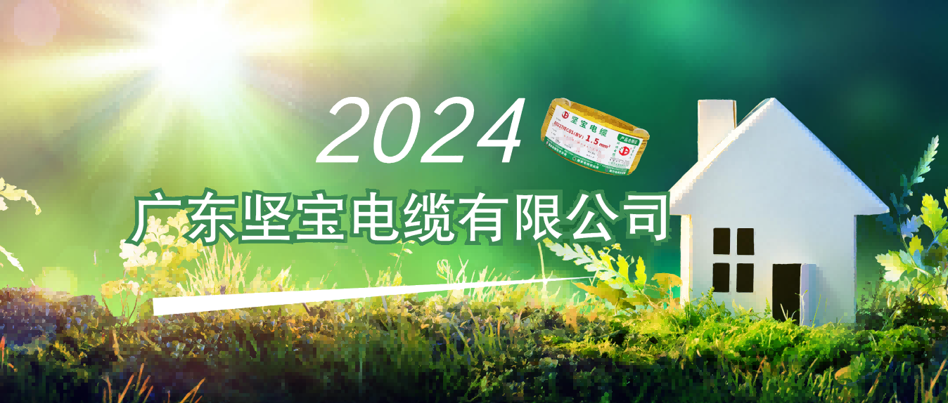 to 线缆人：2024年政府工作报告透露出这些信号……